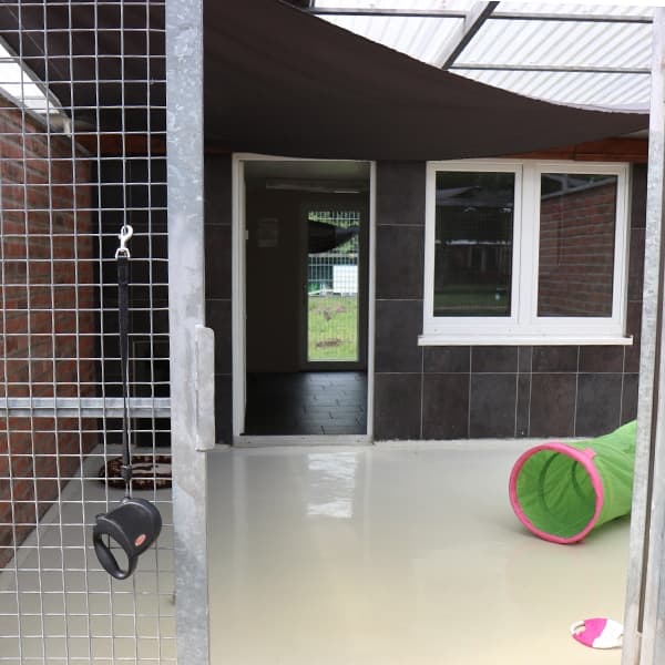 Zwinger der Hundepension