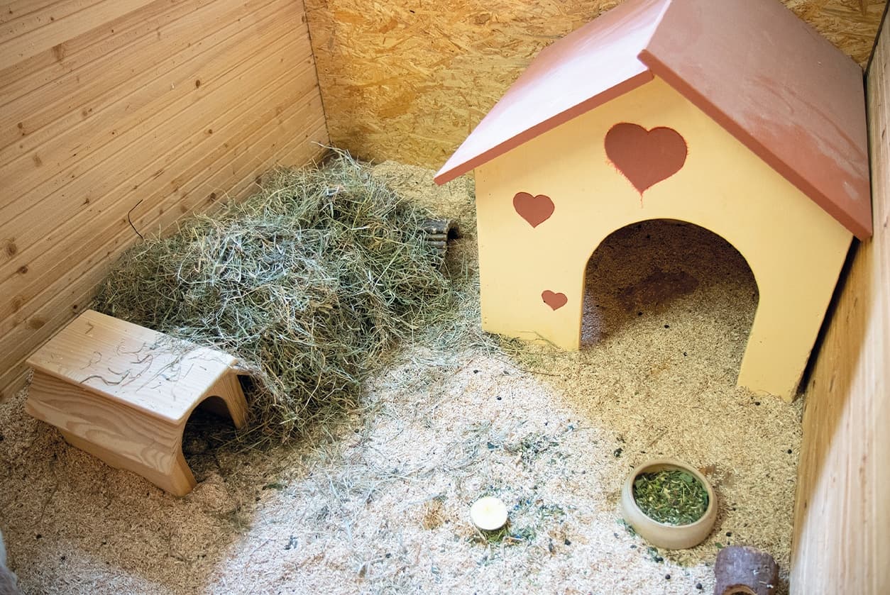 Kleintierhaus, Bild 2