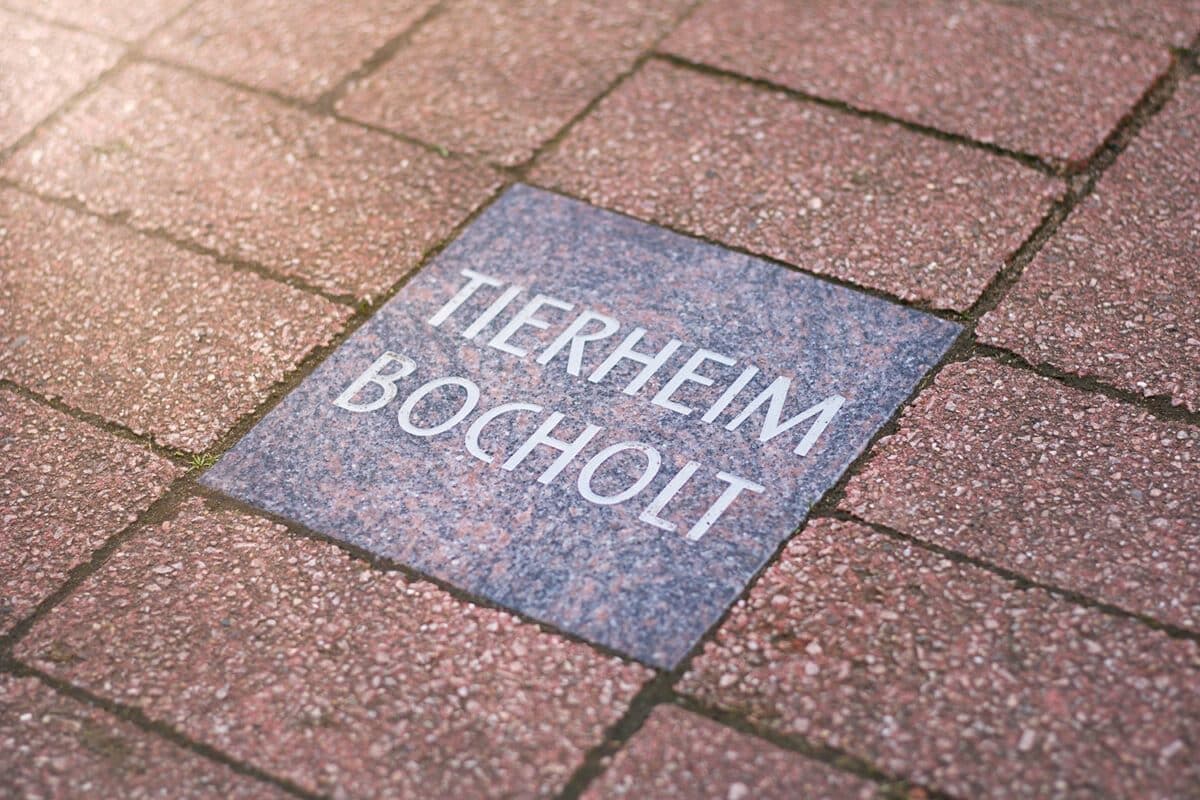 Spendenstein mit Inschrift auf dem Gelände des Tierheims