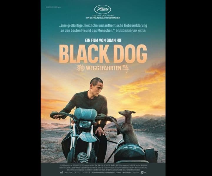 der besondere Film im Kinodrom: Black Dog