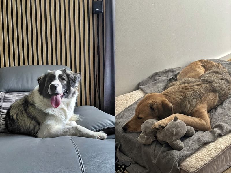 Cleo und Mia sind angekommen