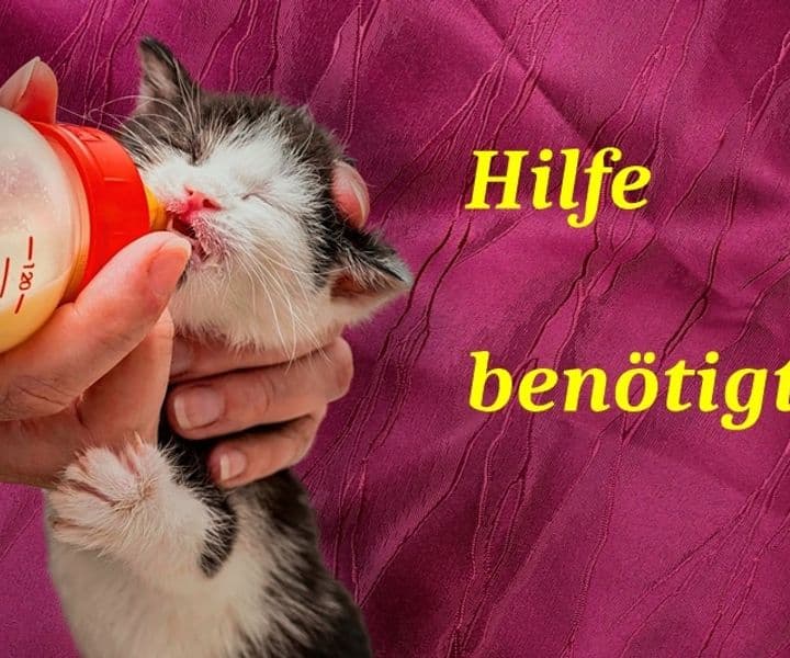 Unsere Amazon-Wunschliste hilft!