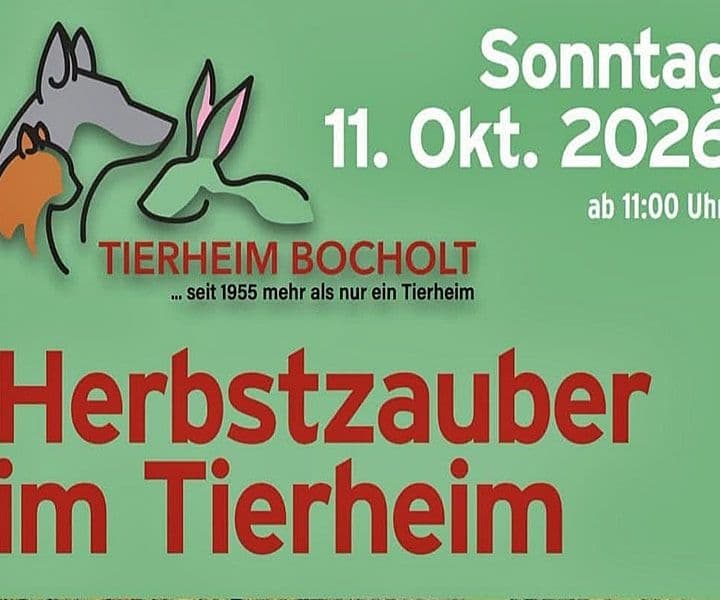 🍂 Herbstzauber im Tierheim Bocholt! 🍂
