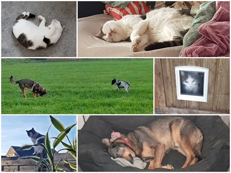 Kassio und Luvinho grüßen aus ihrem Zuhause