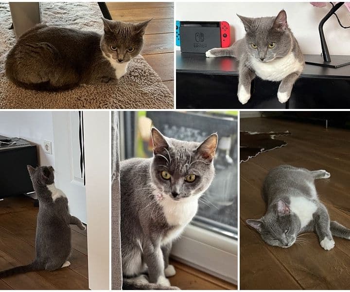 Die schöne Mara hat es super getroffen