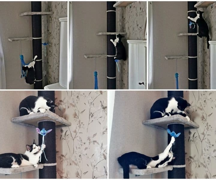 Muffin und Karla grüßen aus dem neuen Zuhause