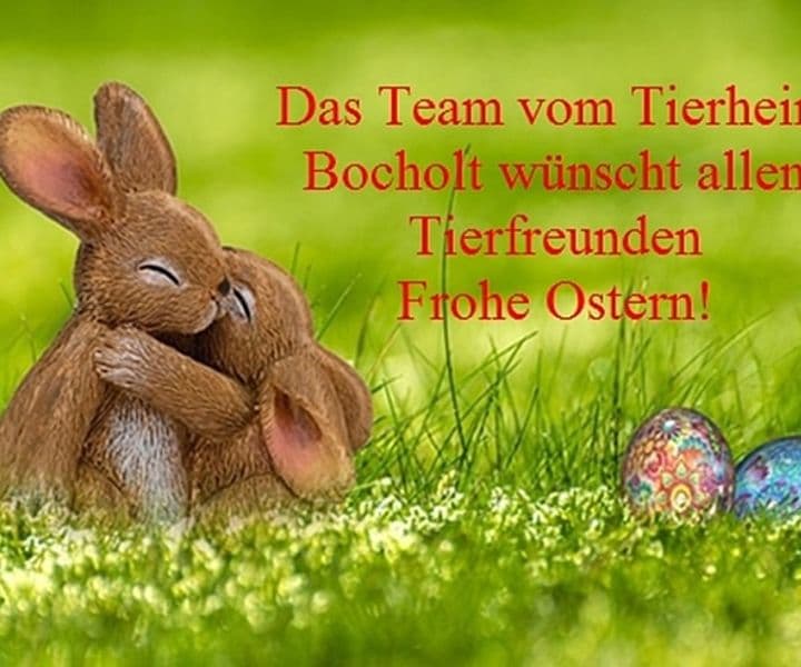 Frohe Ostern!