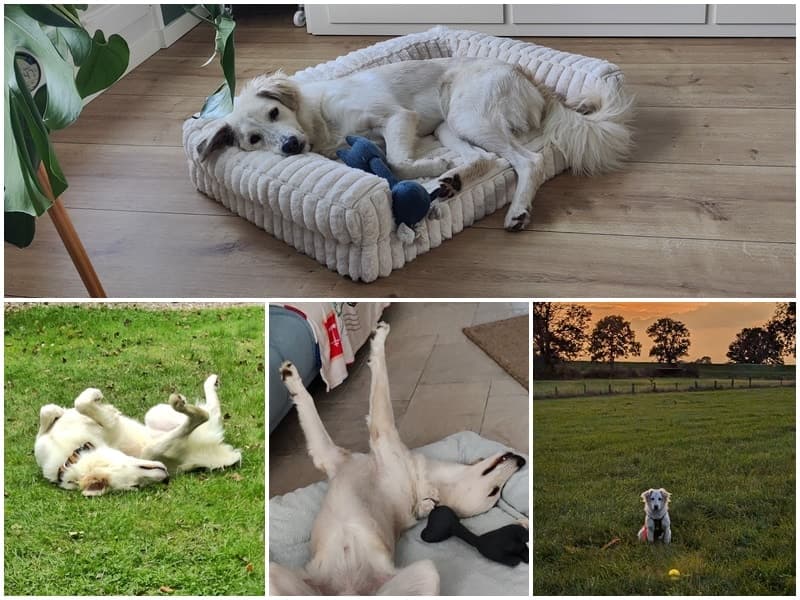 Sunny ist super glücklich