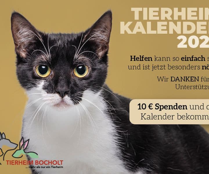 Der neue Tierheimkalender 2025 ist da!