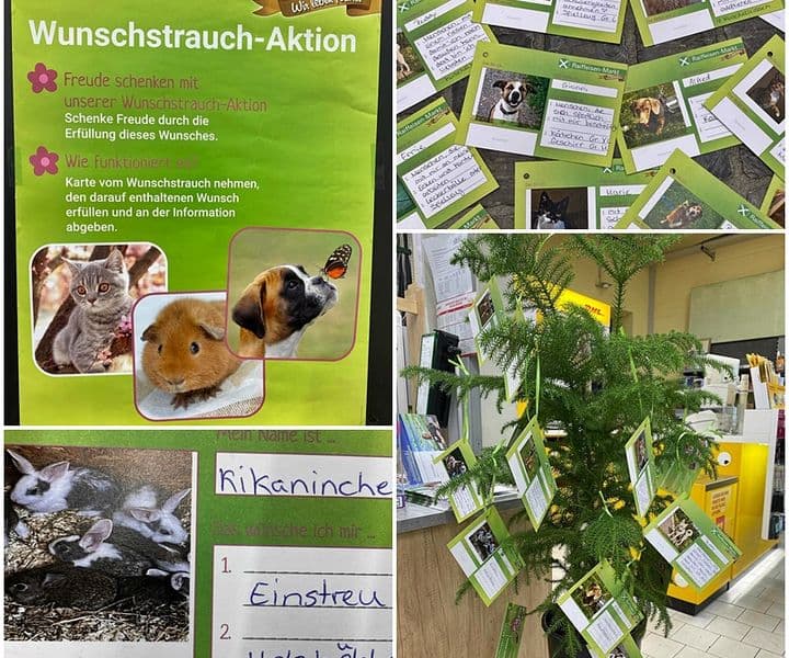 In diesem Jahr gibt es einen Wunsch-Strauch :-)